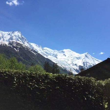 Studio Au Calme Avec Jardin Et Vue Mont-Blanc Chamonix Exterior foto