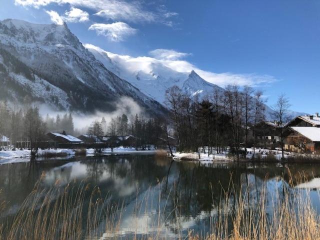 Studio Au Calme Avec Jardin Et Vue Mont-Blanc Chamonix Exterior foto